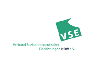 VSE Logo